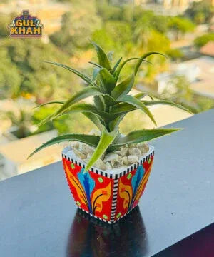 Indoor Flower Pot (Chamakpatti & Handpainted) - Gul Khan Truck Art
