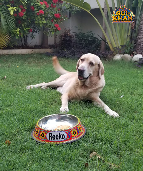 Pet Food Bowl 0001 - Gul Khan Truck Art