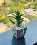 Indoor Flower Pot Design 06 (Chamakpatti Handmade) - Gul Khan Truck Art